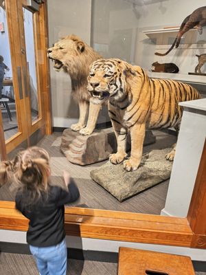 Museum of Science by null