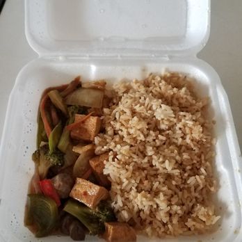 New Hong Kong Express - This is only half of the order. Sorry I already ate half of it. I was hungry - Chinese Near Me - Pensacola, Florida