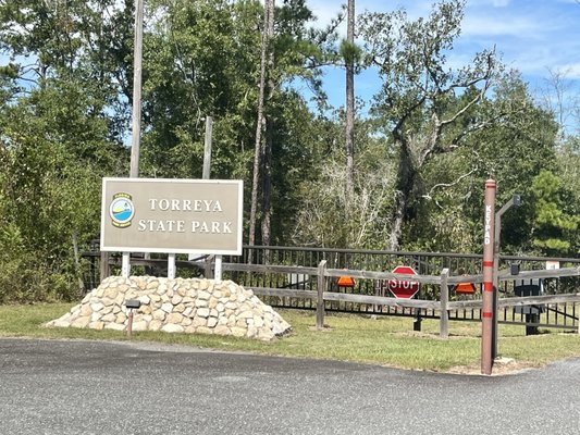 Torreya State Park by null