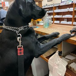 Back To Basics - Welcome to Back to Basics, How may I help you? (We are dog friendly!)