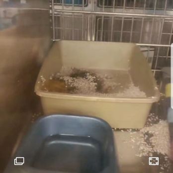 PetSmart - Pet Training Near Me - Victorville, California PetSmart - Pet Training Near Me - Victorville, California