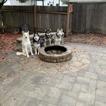 System Pavers - Happy Pups! - Landscaping Near Me - Lake Oswego, Oregon System Pavers - Happy Pups! - Landscaping Near Me - Lake Oswego, Oregon