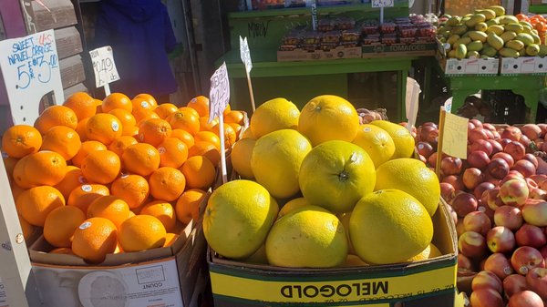 Bloor Fruit Market by null