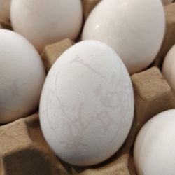 Waialua Fresh Egg Farm - Cracked eggs