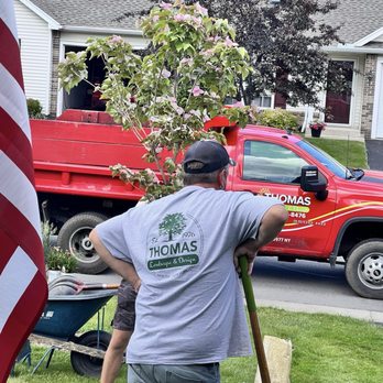 Thomas Landscape & Design - The excellent and very efficient men who placed and planted. Great job. - Landscaping Near Me - Webster, New York