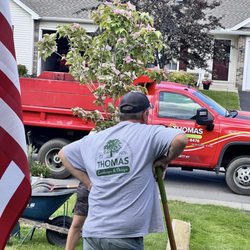 Thomas Landscape & Design - The excellent and very efficient men who placed and planted. Great job.