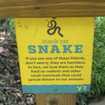 Yellow River Wildlife Sanctuary - Zoos Near Me - Lilburn, Georgia Yellow River Wildlife Sanctuary - Zoos Near Me - Lilburn, Georgia
