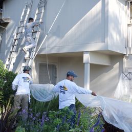 Guys protecting plants