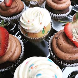 Cecy's Cakes