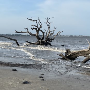 Driftwood Beach - Beaches Near Me - Jekyll Island, Georgia Driftwood Beach - Beaches Near Me - Jekyll Island, Georgia