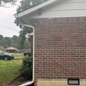 Brown Pest Management - 10ft off the ground - Pest Control Near Me Brown Pest Management - 10ft off the ground - Pest Control Near Me