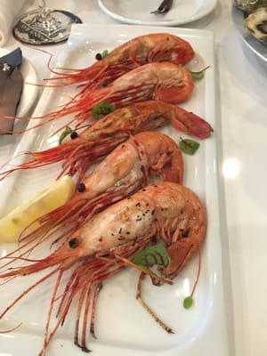 Fanny Bay Oyster Bar & Shellfish Market by null