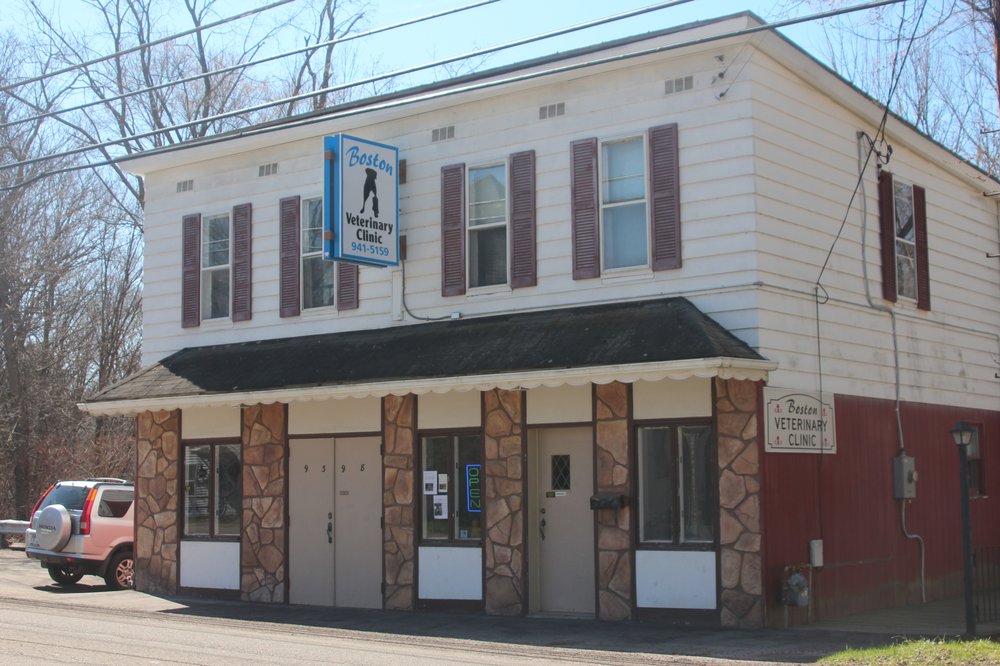 BOSTON VETERINARY CLINIC Updated July 2024 9398 Boston State Rd