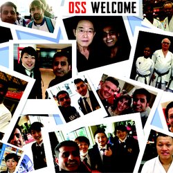 Oss Karate Academy