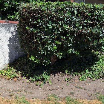 LunaBella Landscape Services - Landscaping Near Me - Los Angeles, California