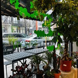 Seed Brklyn - Plants inside, seating outside