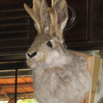 St Charles Saloon - Jackalope - Pizza Near Me - Columbia, California St Charles Saloon - Jackalope - Pizza Near Me - Columbia, California