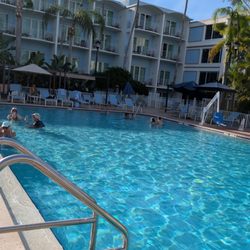 Parthenon Bar - Safety Harbor and spa hotel