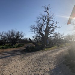 Ms. G's RV Park