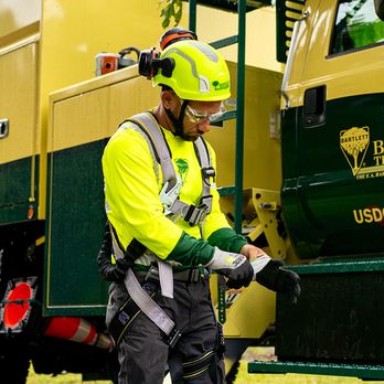 Bartlett Tree Experts - Tree Services Near Me - Sewell, New Jersey