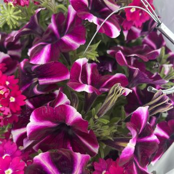 Brandywine Growers - Nurseries & Gardening Near Me - Brandywine, Maryland