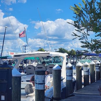 The Choptank - The view - Seafood Near Me - Annapolis, Maryland