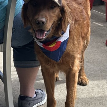 The Empourium Brewing Company - Cute doggie! - Brewpubs Near Me - Denver, Colorado