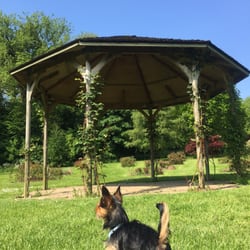 The Sir Thomas and Lady Dixon Park - Ted enjoying the park