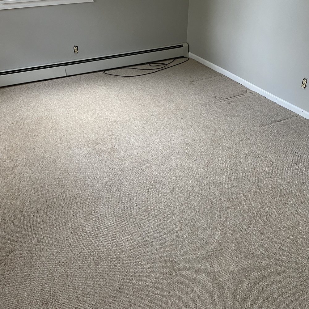 Tri-city Carpet Cleaning - Livingroom had stains, all gone now - Carpet Cleaning Near Me - Schenectady, New York Tri-city Carpet Cleaning - Livingroom had stains, all gone now - Carpet Cleaning Near Me - Schenectady, New York