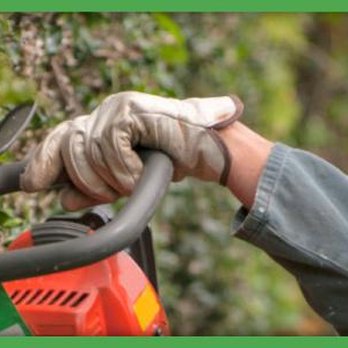 Reliable Tree Service - Snow Removal Near Me - Burlington, Ontario Reliable Tree Service - Snow Removal Near Me - Burlington, Ontario
