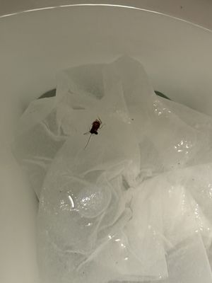 Hotel Le Marais by null