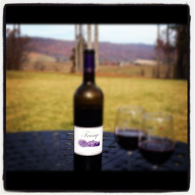 Trump Winery by null