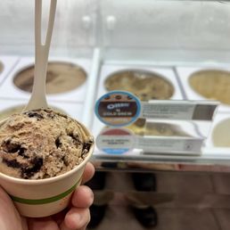 Single Scoop