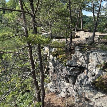 1. Long Point Trailhead