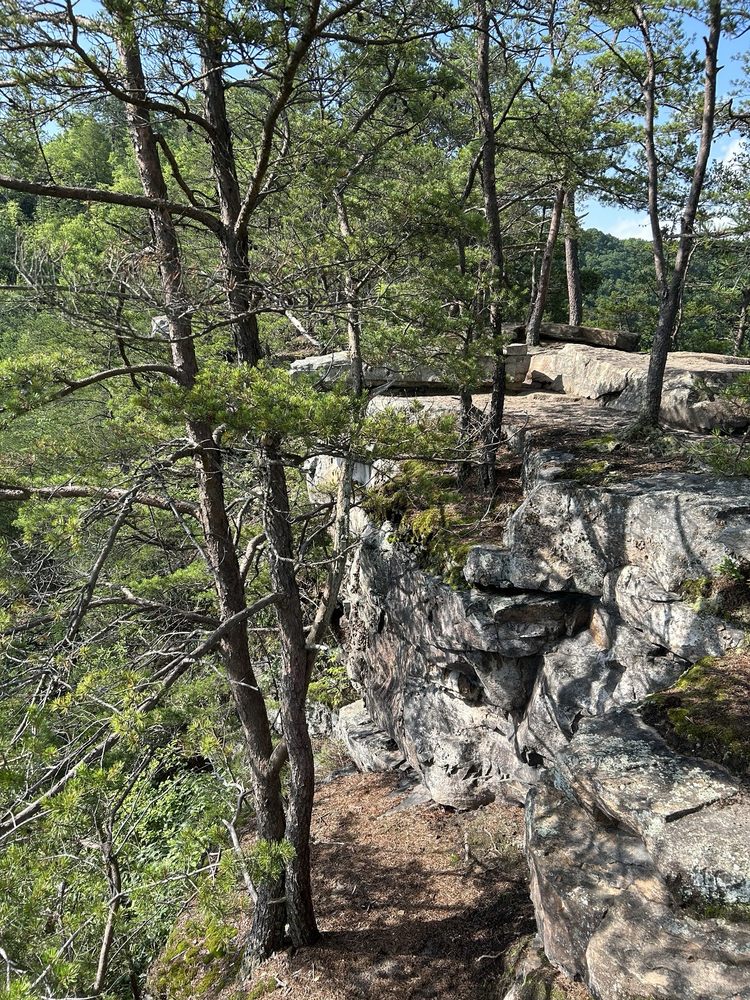 Long Point Trailhead Logo