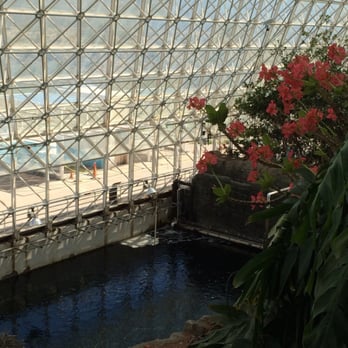 Biosphere 2 - Inside the Biosphere. - Museums Near Me - Oracle, Arizona Biosphere 2 - Inside the Biosphere. - Museums Near Me - Oracle, Arizona