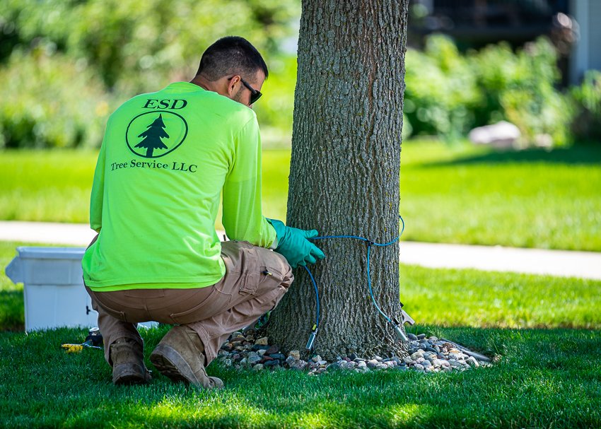 ESD Tree Service LLC - tree service in Sioux Falls, SD