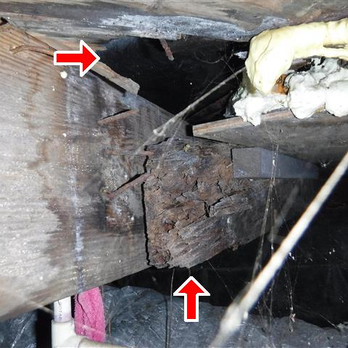 RVA Homespec - Rotted Wood Framing, Property Inspections - Home Inspectors Near Me - Powhatan, Virginia RVA Homespec - Rotted Wood Framing, Property Inspections - Home Inspectors Near Me - Powhatan, Virginia