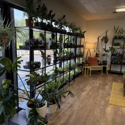 The Plant Shop