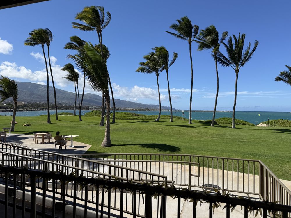 The Palms Bar & Bites