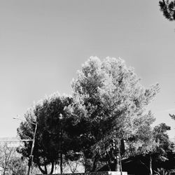 Padua Park - Welcome to Padua Park