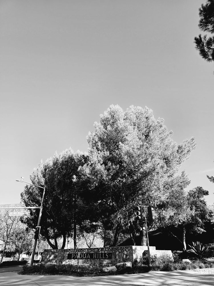 Padua Park Logo