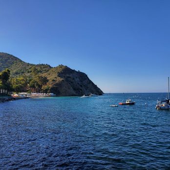 Catalina Island - Local Flavor Near Me Catalina Island - Local Flavor Near Me