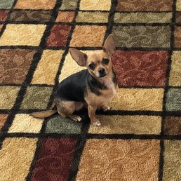 Frannie my sweet baby
