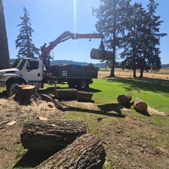 Evergreen Tree Services - #Foresthillsgolfcourse Loading logs at the golf course. - Tree Services Near Me - Tigard, Oregon Evergreen Tree Services - #Foresthillsgolfcourse Loading logs at the golf course. - Tree Services Near Me - Tigard, Oregon