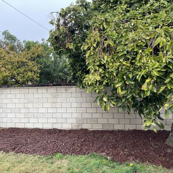 L&M Concrete - Concrete wall (I had to buy mulch and put it over the dirt) - Masonry/Concrete Near Me