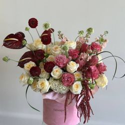 NovaPetal Flower Lab
