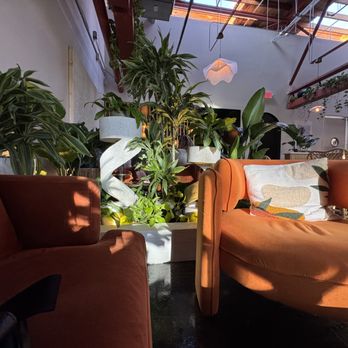 Folia - Seating - Lounges Near Me - Charlotte, North Carolina
