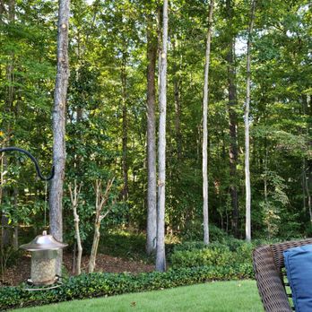 Brown's Tree Service & Todd Jeffery's - More light less shade - Tree Services Near Me - Newnan, Georgia Brown's Tree Service & Todd Jeffery's - More light less shade - Tree Services Near Me - Newnan, Georgia