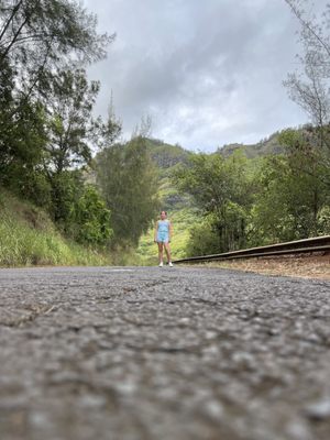 Menehune Fishpond by null